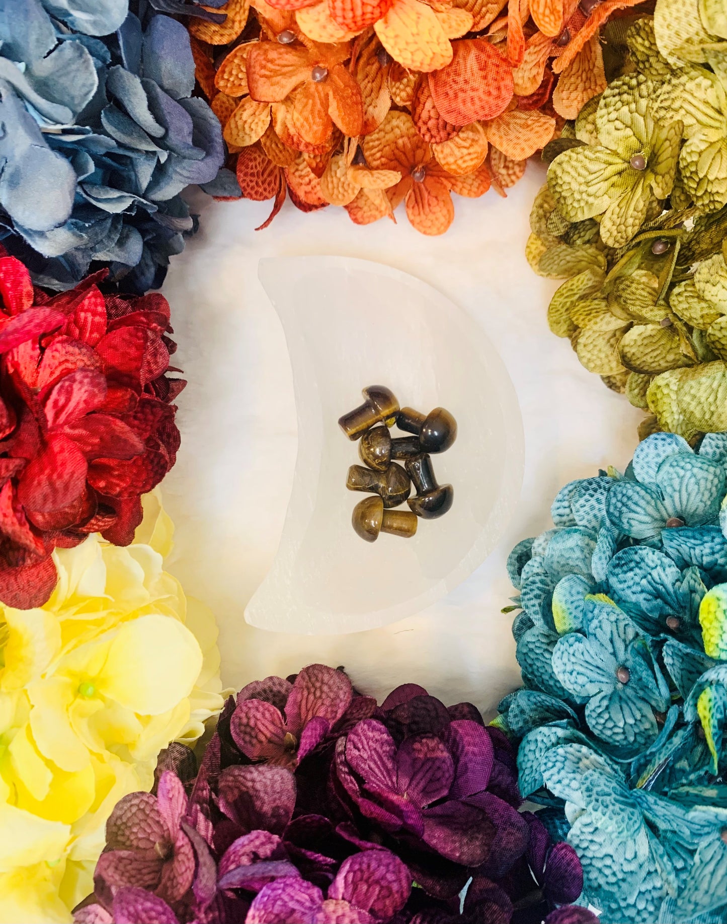 Tiger's Eye Mushroom