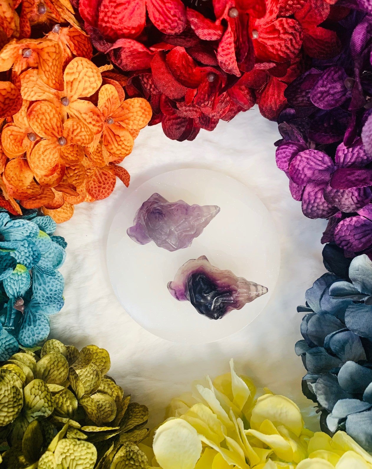 Fluorite Conch Shell