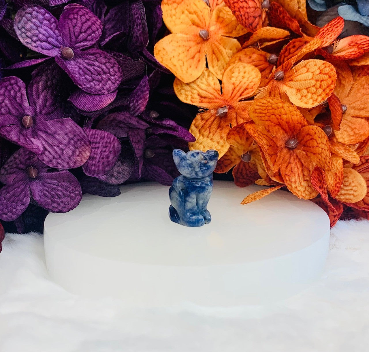 Sodalite Mini Kitten