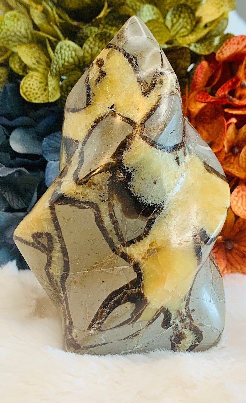 Septarian Flame (5in)