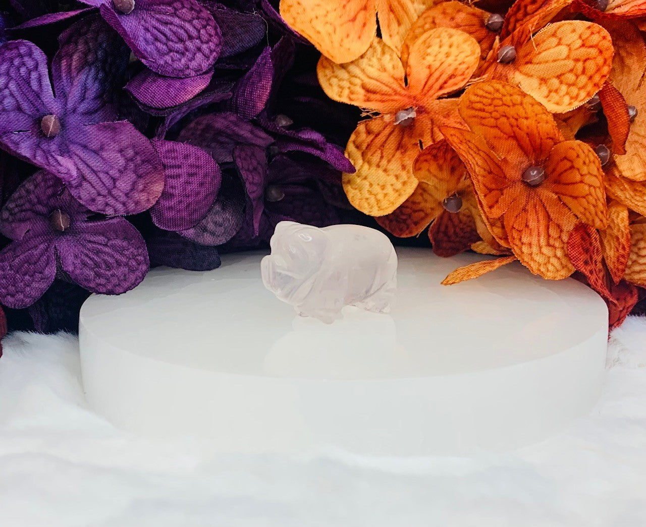 Clear Quartz Mini Pig