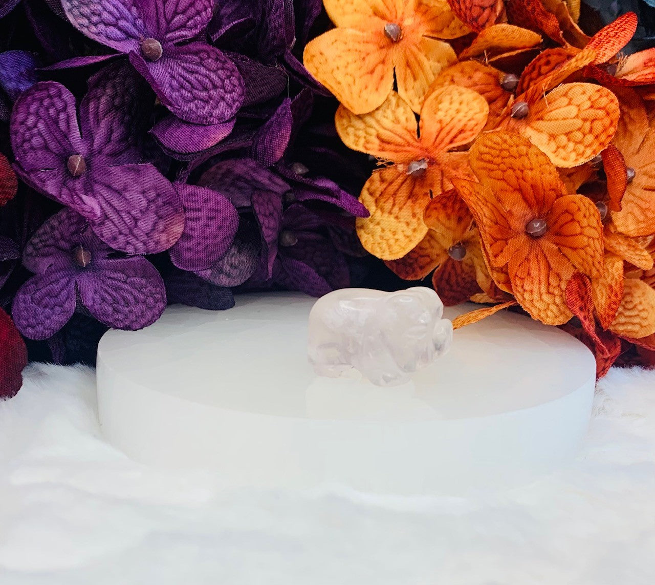 Clear Quartz Mini Pig