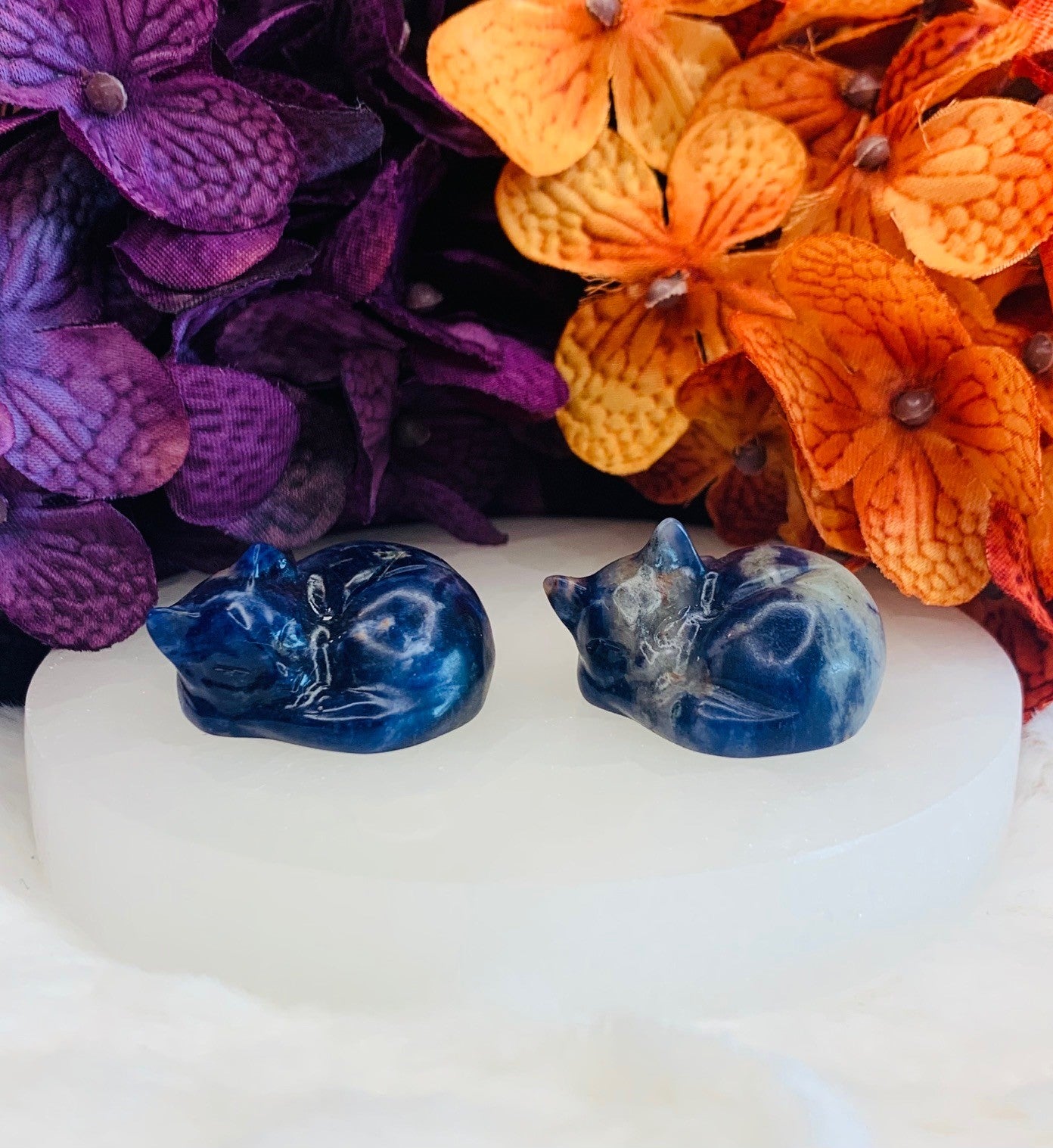 Sodalite Sleeping Cat