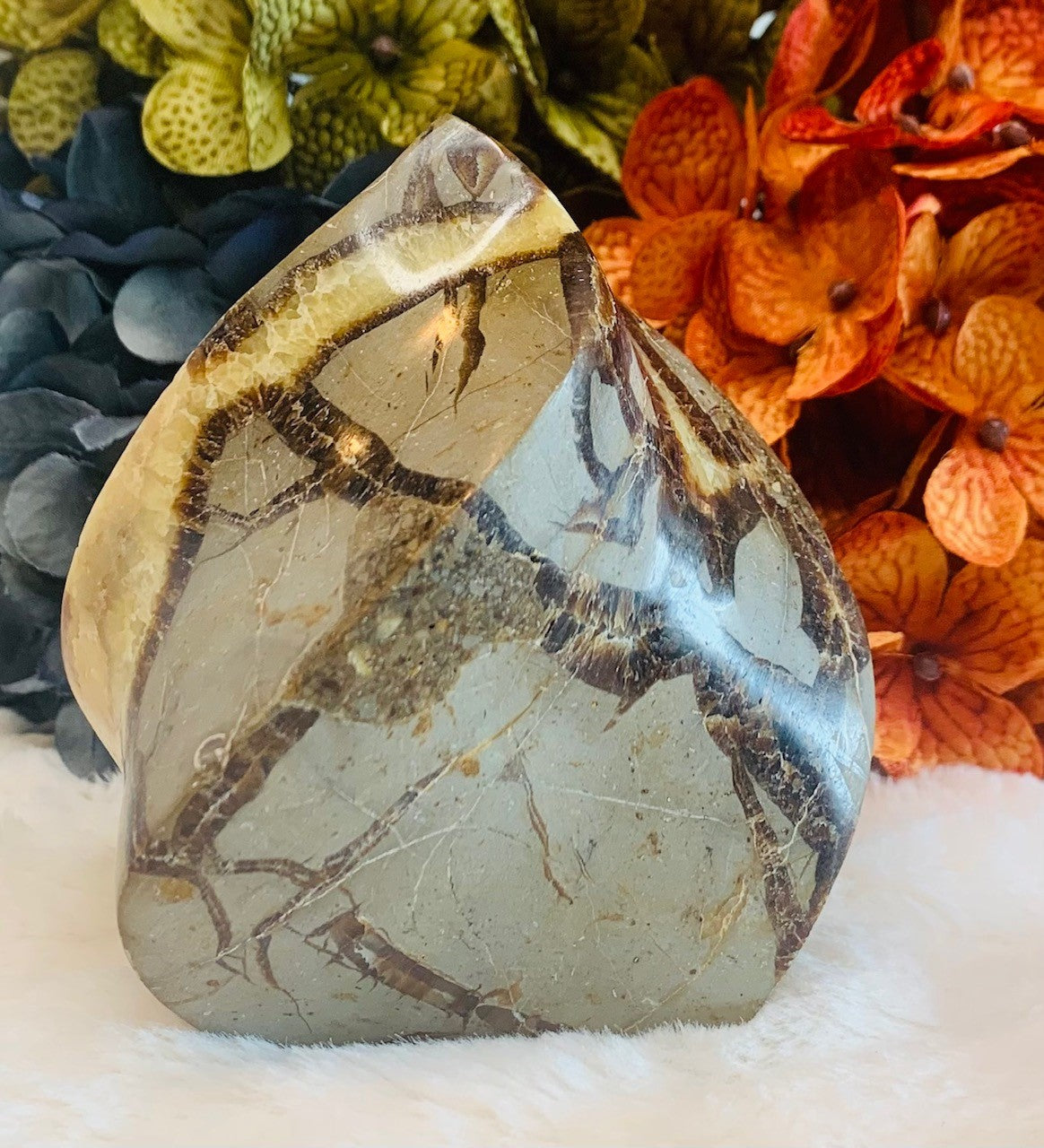 Septarian Flame (4in)