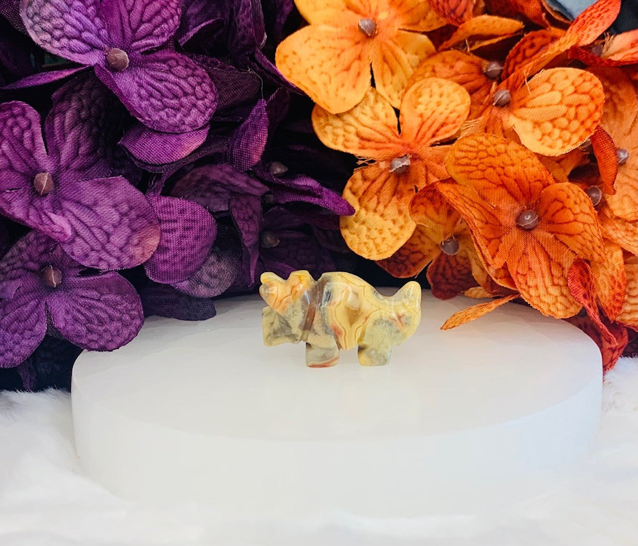 Crazy Lace Agate Mini Triceratops