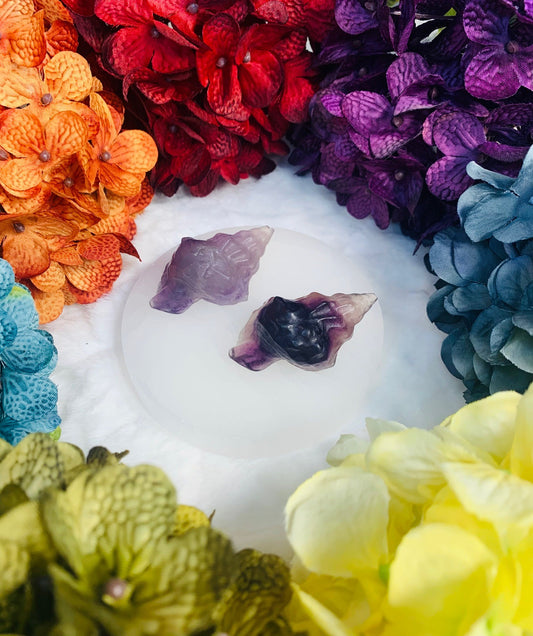 Fluorite Conch Shell