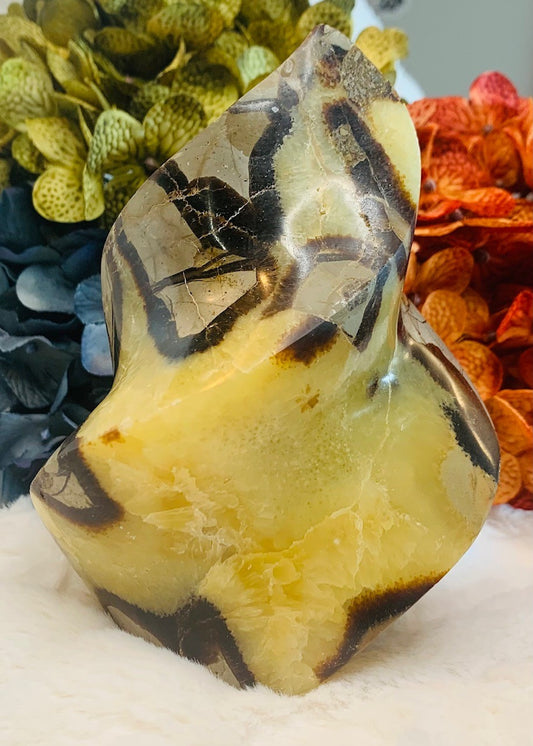 Septarian Flame (5.5in)