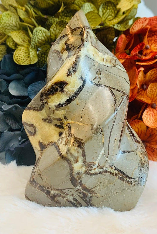 Septarian Flame (5in)