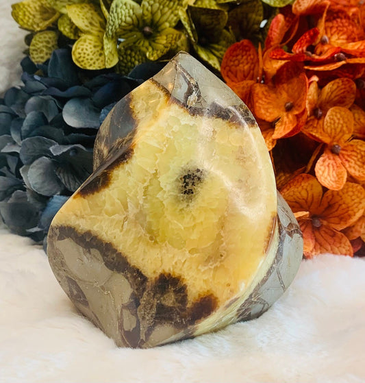 Septarian Flame (4in)
